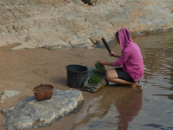 Woman beating river seaweed
