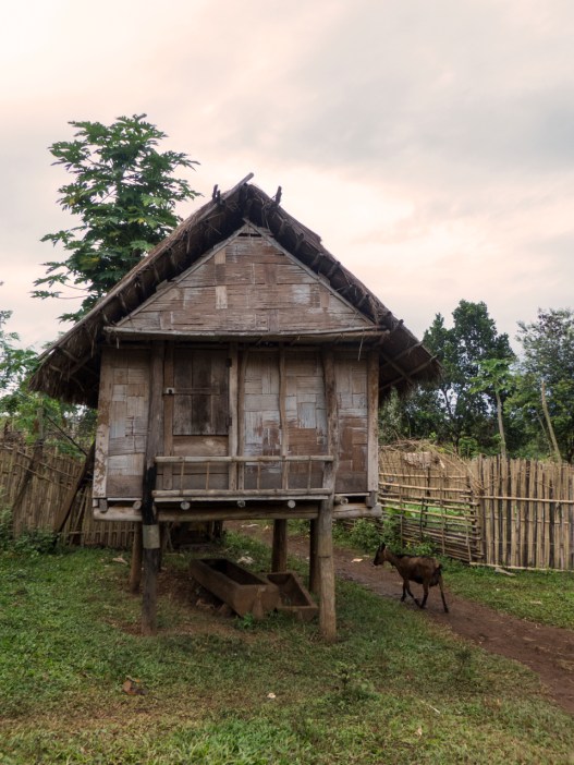 Typical casket under building for rice storage