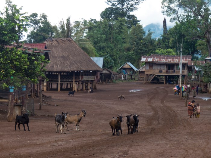 Walking to the center of the village
