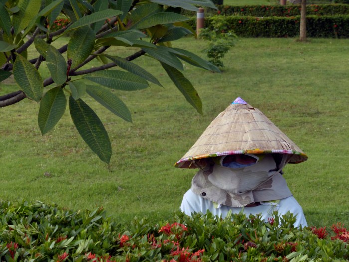 In Ventiane this woman gardner is avoiding a suntan