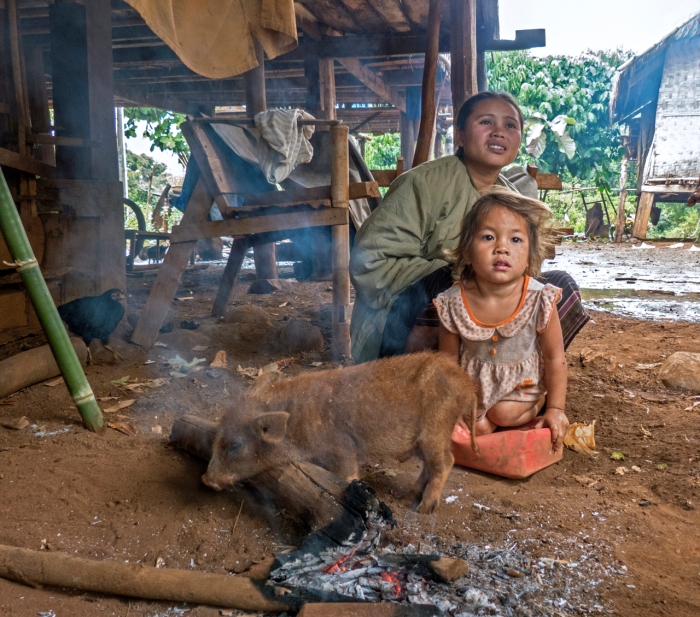 Pig and Child warmed by the fire