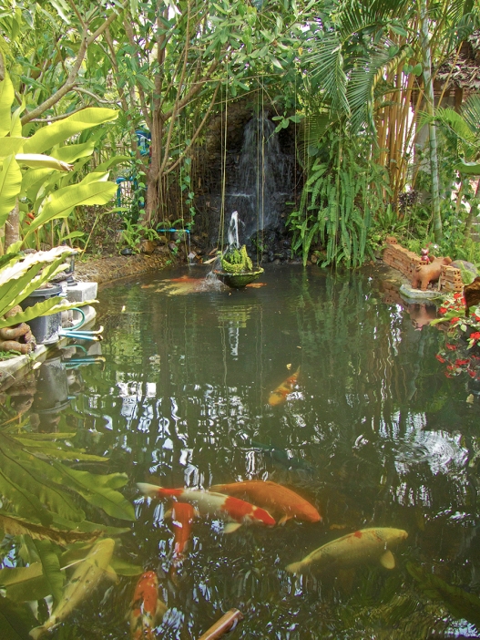Fish Pond at entry