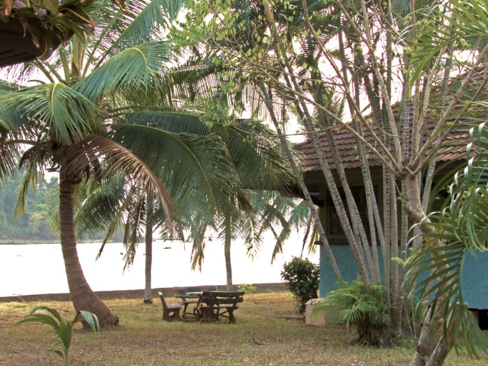 View of the bay from the bungalows