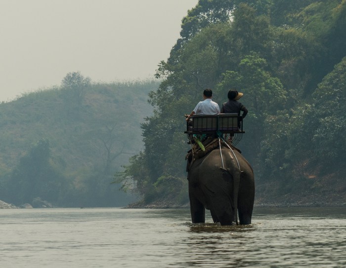 Tourists riding the elephants