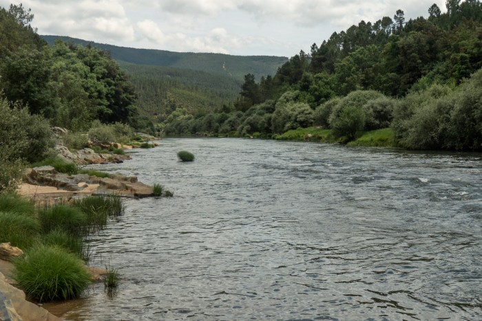 Our own private river