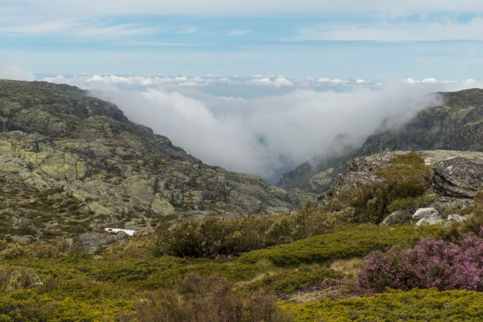 Clouds rising up to meet us at 2000 meters high or 6000 feet.