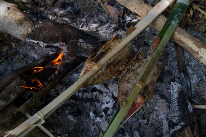 Lovely Fish for lunch