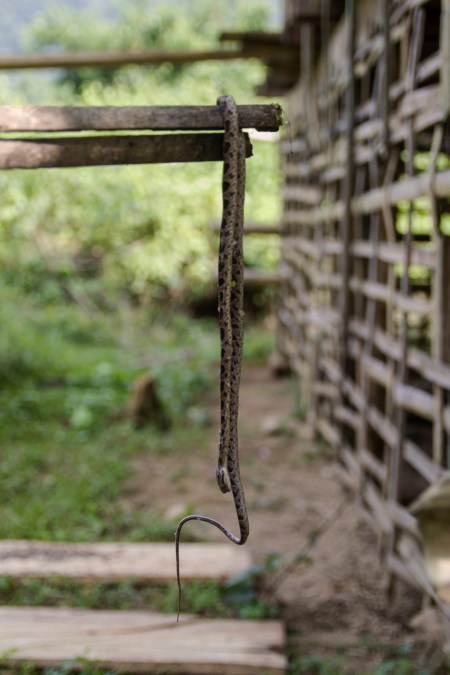 The snake that Michel encountered near a hut…