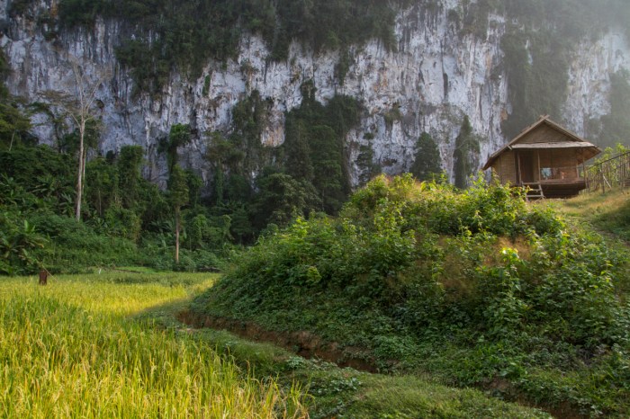 Cliffs and UXO filled jungle