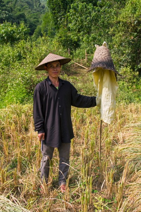 Man setting up a scarecrow
